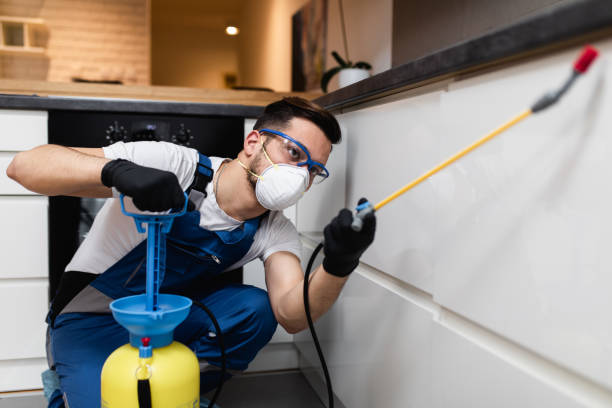 Best Commercial Pest Control Services  in Blue Point, NY