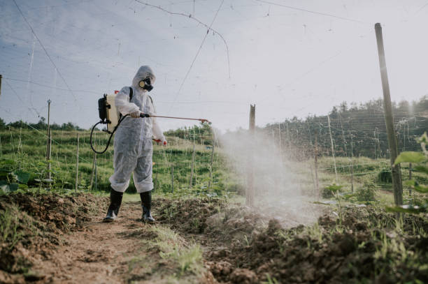 Best Ant Control Services  in Blue Point, NY