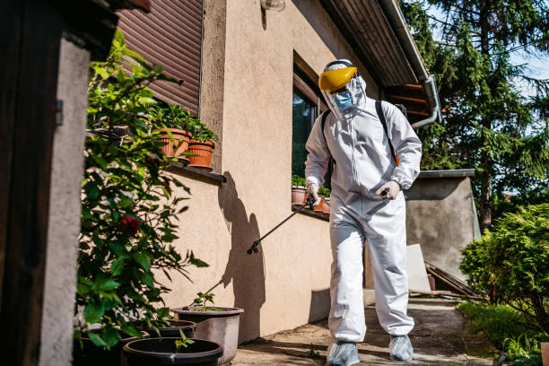 Reliable Blue Point, NY Pest Control Solutions