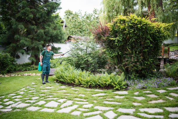 Best Mosquito Control Services  in Blue Point, NY